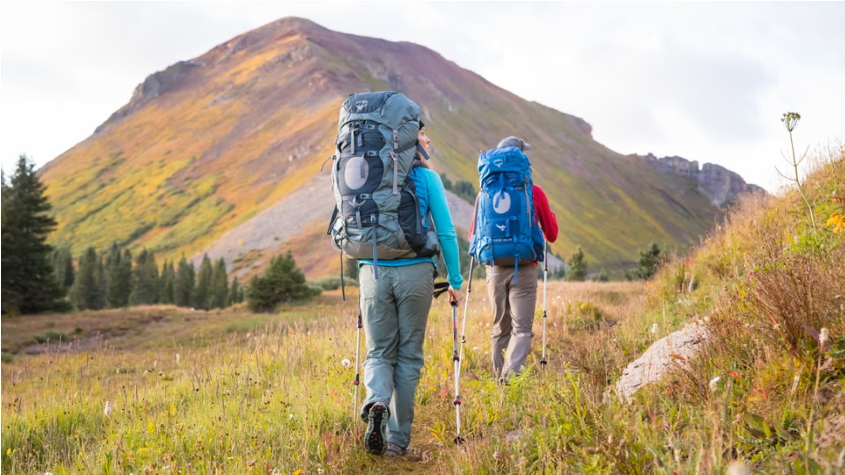 Waterproof Backpack Features: What to Look For in Your Next Purchase